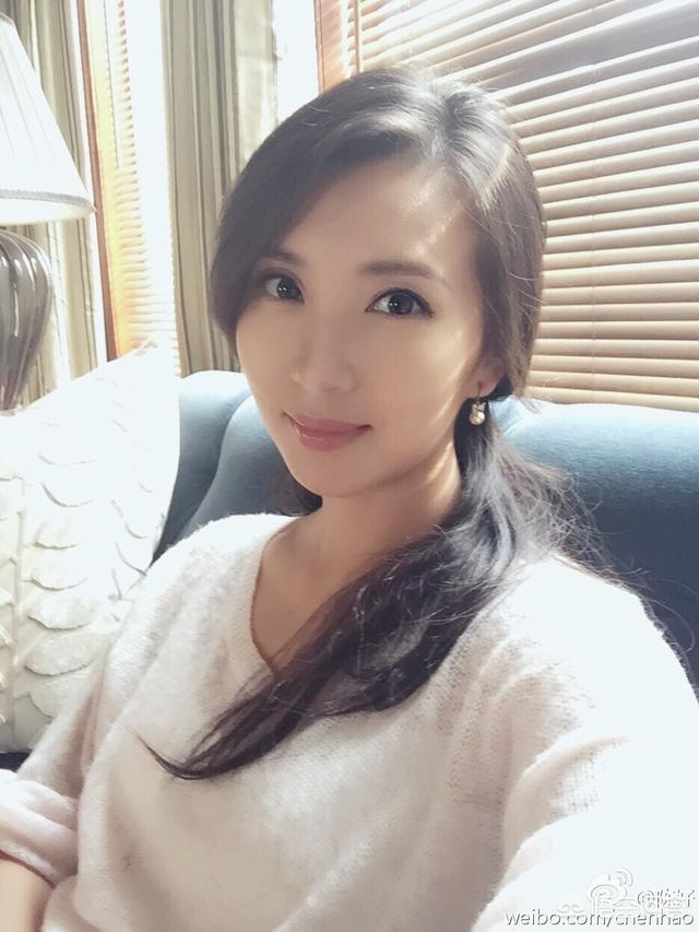 陈好老公刘海峰简历:昔日被称作万人迷，如今被称作万人肥的陈好近况如何？