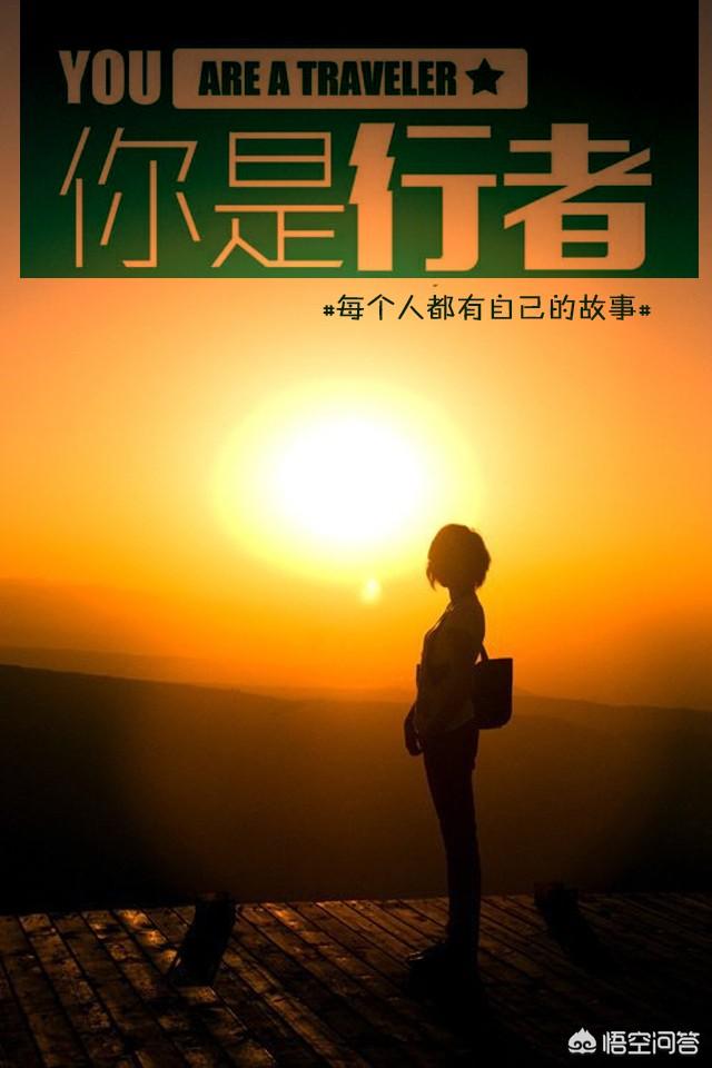 美科学家揭开阿根廷巨鸟飞行奥秘:你会选择去哪个城市或国家旅游？为什么？