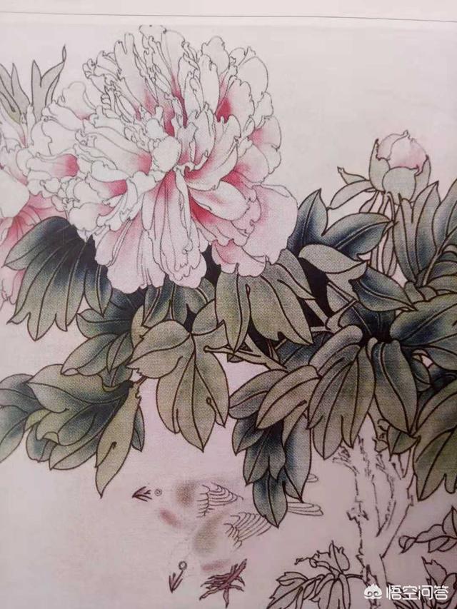 工笔花鸟:国画写意和工笔有什么大的差别？两者可以合用吗？ 工笔花鸟画