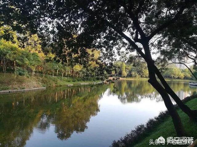 广州哪个公园有相亲角，在广东天河区，突然想到处走走，心情不好，有哪些地方值得推荐
