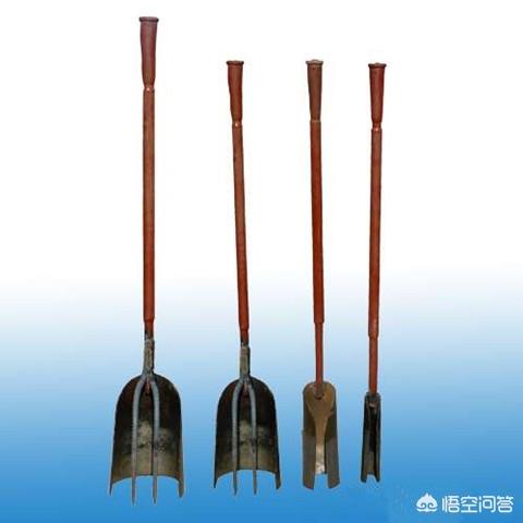 寻龙点穴 八大秘诀,盗墓者是如何探知地下宝藏的？