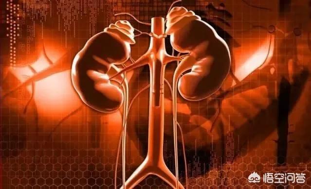 民间90个不传秘方壮阳,有什么好的男性养肾方法吗？