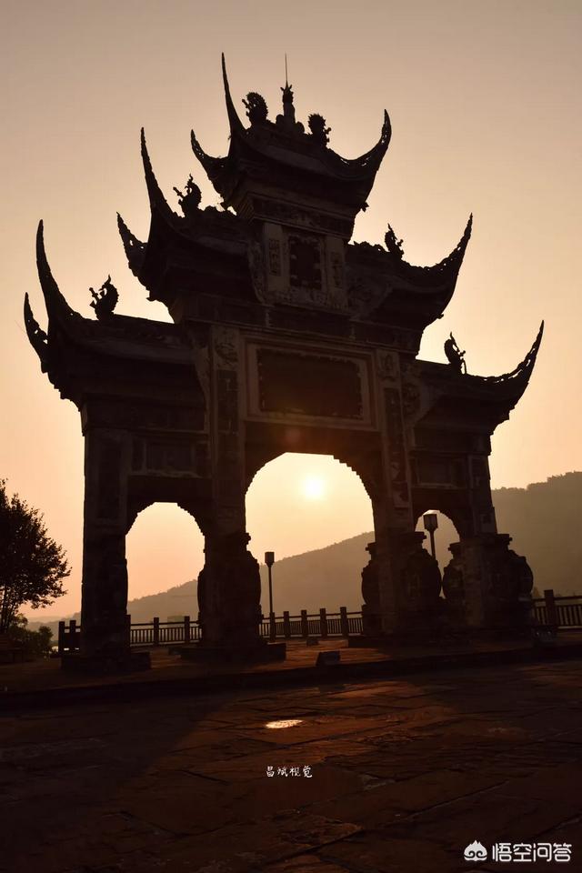 宠物摄影师要怎么考证:去哪里可以考到摄影资格证？ 宠物摄影师的前景如何