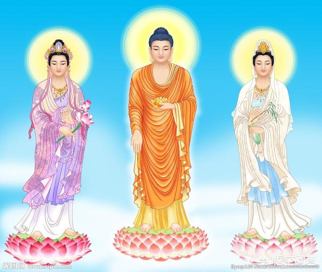 哈辉的前任丈夫:丧偶再婚后，去世的时候你认为应该与哪一任妻子（或丈夫）合葬？