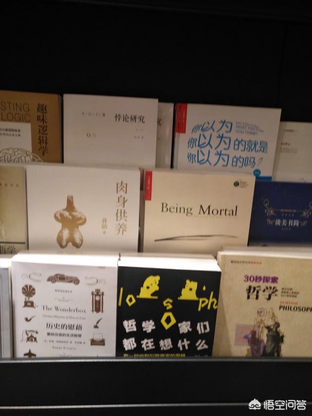 狗吃人事件:如何看待流浪狗接连咬伤73人，你认为流浪狗该如何处置？