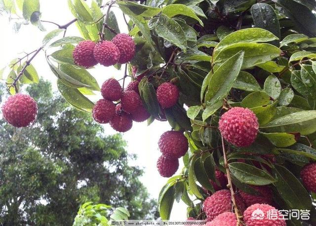 自家的农产品总滞销反应了什么问题？