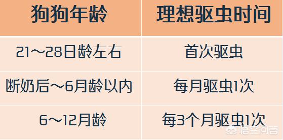 狗蛔虫药什么时候吃合适:满月的小狗需要喂驱虫药吗？