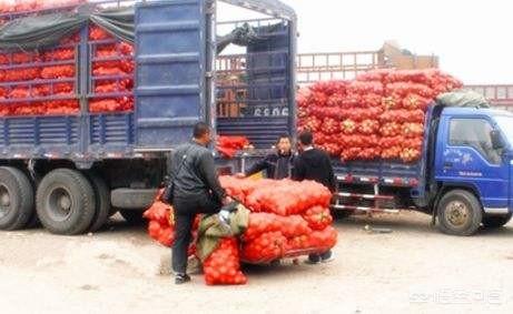 农产品经常滞销是什么原因引起的？如何解决？