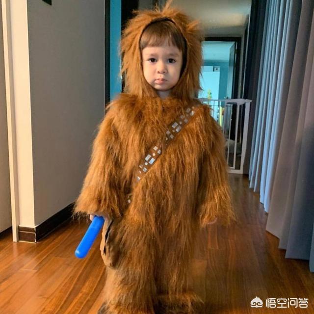 贾云哲:综艺节目上的萌娃你最喜欢哪一个？
