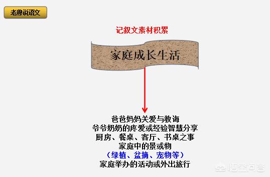 林舒语:中小学生的作文素材，有什么方法积累吗？