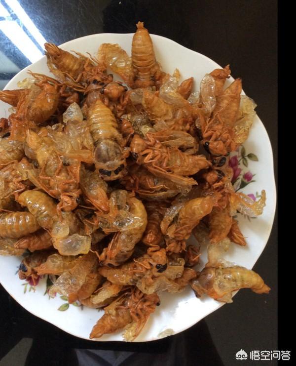 吃蜂蛹过敏怎么办，有哪些东西，是只有在农村才有可能吃得到的呢？