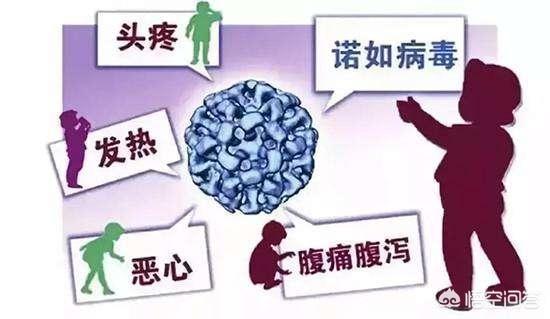 诺如病毒是什么病:感染诺如病毒是什么症状？