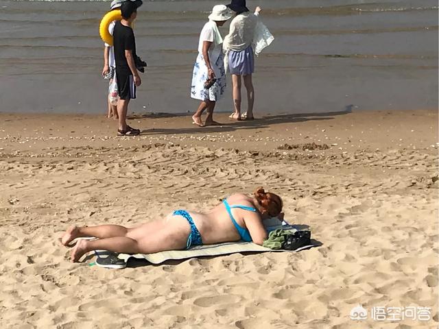 海天盛筵鳝始鳝终:请谈谈刘禹锡的《乌衣巷》表达了怎样的情怀？