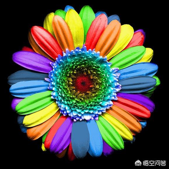 什么颜色最好,穿什么颜色服装对健康有帮助？