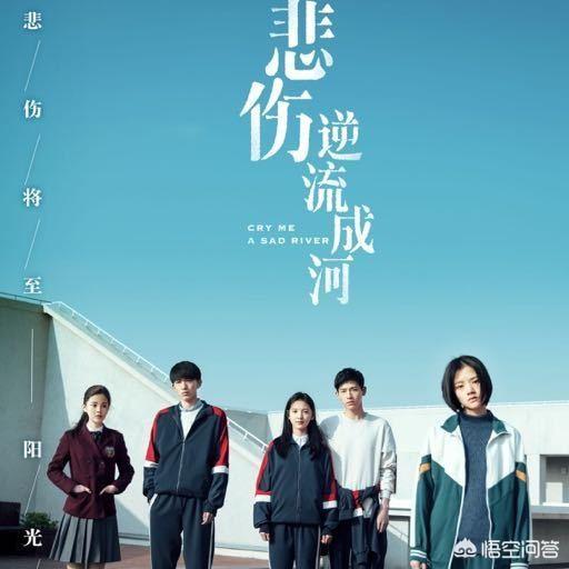 你认为《悲伤逆流成河》写出了什么道理？
