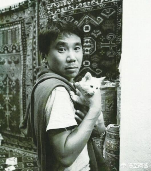 猫奴契约书免费观看:有什么可以熬夜看的小说推荐吗？