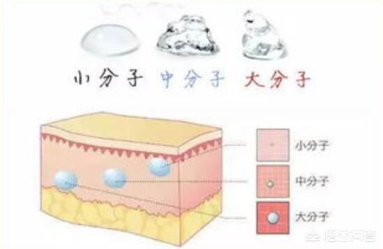 乔雅冰:天冷的时候皮肤干燥，用哪个牌子的玻尿酸比较好？