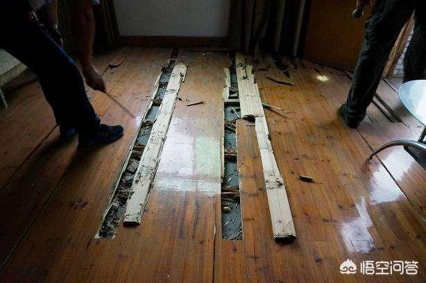 白蚁怎么消灭才干净:白蚁怎么消灭才干净知乎 农村家庭有哪些关于白蚁防治的方法？