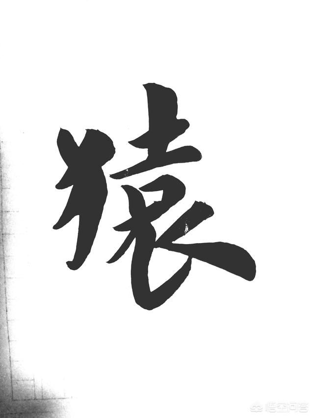 如果让你写出三句关于植物或动物的诗词,你会写哪三句？