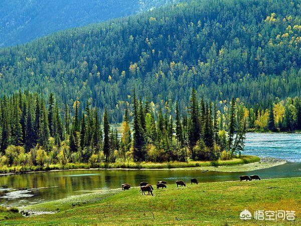 新疆什么地方最美？