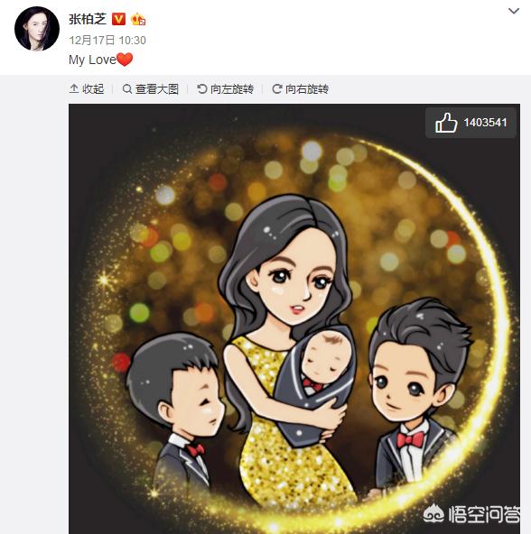 张柏芝谢霆锋儿子:谢霆锋和张柏芝疑似要复合，为长子进入演艺圈做准备，发生了啥？
