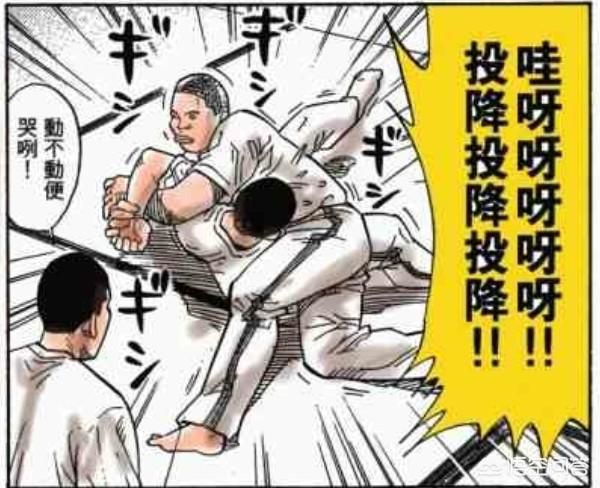 在《灌篮高手》中,你觉得河田雅史和青田龙彦谁的柔道技术更胜一筹？