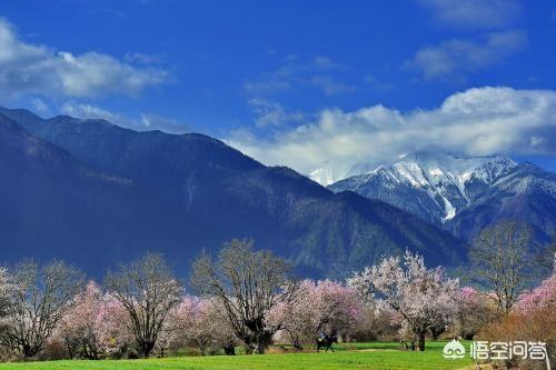 精選優質答案:林芝市是西藏平均海拔最低的地方!