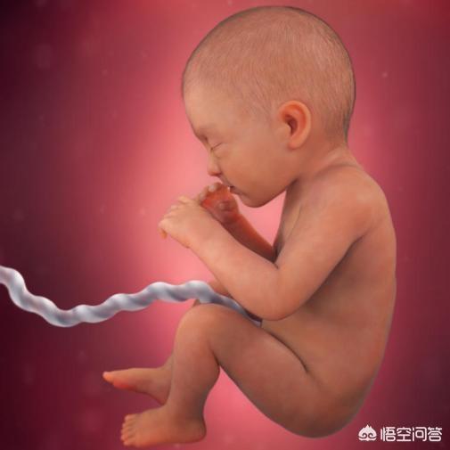 孕晚期是胎儿猛涨期吗？具体是哪几个周？插图39