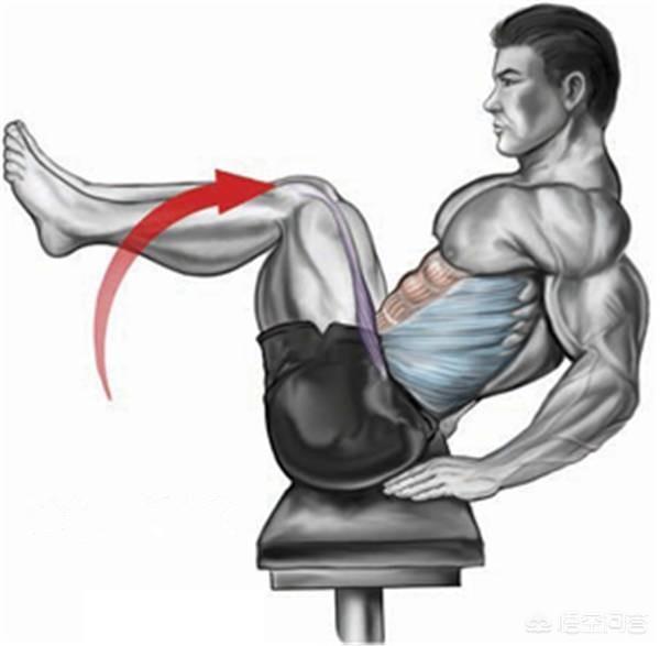 头条问答 - 想锻炼腰方肌,有什么比较好的动作?(18个回答)