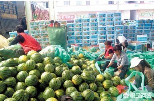 近期，缅甸与我国的水果贸易进展的如何
