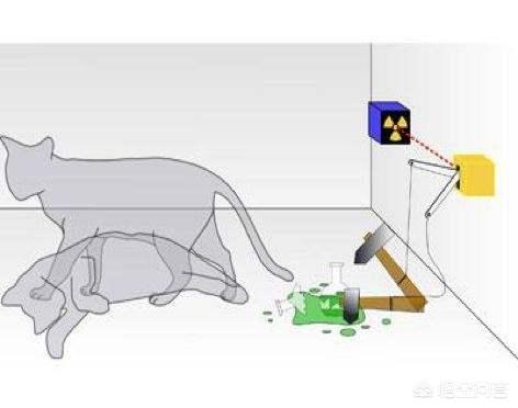 科学家证实平行宇宙存在，科学家们根据薛定谔的猫产生的想象(分裂出平行宇宙)是真的吗