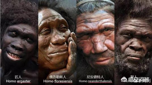 人类来自火星证据，智人是人类的直系祖先，是来自非洲的还是各地单独进化的
