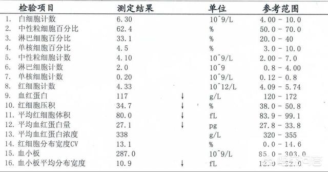 血常规能看出哪些问题？