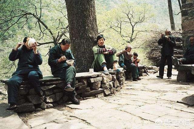 木天蓼棒不要削皮嘛:农村集市上卖的藕有七孔的和九孔的，两种藕有什么区别吗？