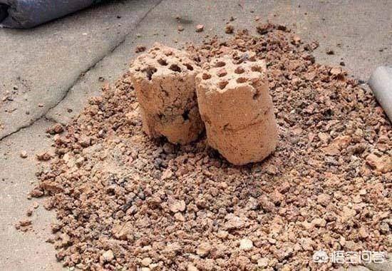 花土里加火山石:两个问题，自制花土用什么材料，花盆土板结什么原因？