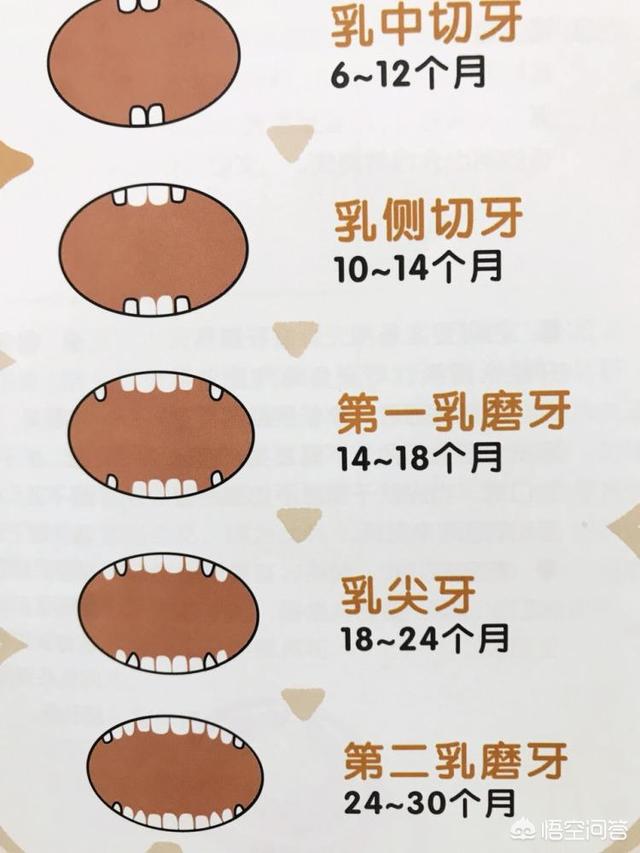 吃大便 图:宝宝吃什么，大便就拉什么，也不拉肚子，这是怎么回事？