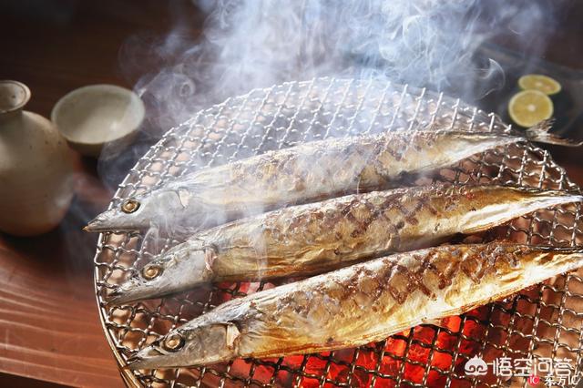 鲱鱼罐头是哪个国家的，秋刀鱼和鲱鱼是一种鱼吗有什么区别