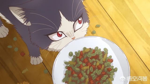 前略我与猫和天使同居外传:如何评价《同居人是猫》这部新番？它主要讲什么的？