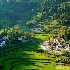 小泽马利亚:布鲁尔三场首发，雷霆迎来三连胜，这说明了什么问题？