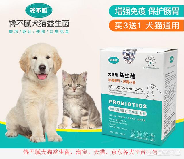 影响西施犬价格的三大因素:什么因素会影响拉布拉多的价格？