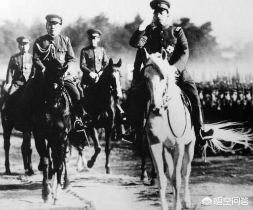 昆莱小雪人精良:二战期间日本有骑兵联队，那么多的“东洋马”是怎么来的？