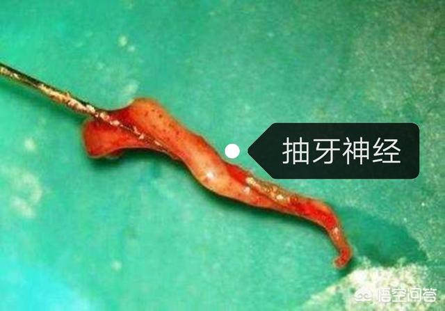 杀死牙神经对牙有坏处吗