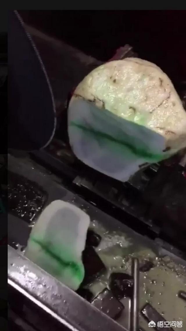 沙皮:沙皮狗的性格是什么样的？