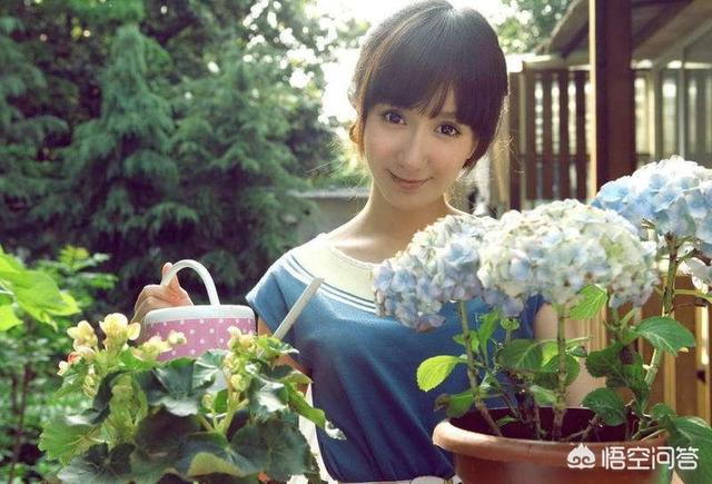 爱情公寓诺兰:大家觉得《爱情公寓》中的诺澜和一菲谁才是第三者？