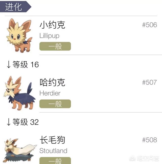 小狗被染成皮卡丘好可爱:《精灵宝可梦》里有没有进化后反而变丑的宝可梦？