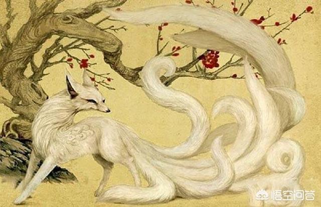 亚洲黄狐狸:亚洲黄狐狸图片 狐狸精为何会从祥瑞变成淫兽？