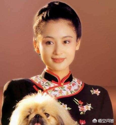倪萍今年多大:倪萍盛装出席飞天奖获人搀扶，为何年近六旬还要到处奔波？