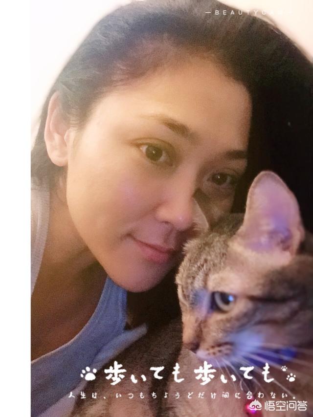 猫发情怎么办:宠物猫发情了的症状有那些，该怎么办？