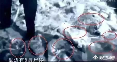 哈尔滨杀人碎尸案:历史上有哪些夫妻合伙犯罪的案例，你怎么看？
