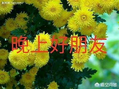 正阳门下大结局:你对电视剧《正阳门下小女人》有什么看法这部剧的结局怎么样